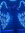 Amy Jane