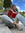 Emma