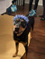 Zoe