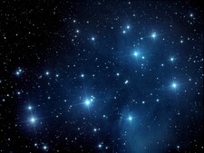 Melany