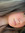 Jorie