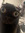 Salem