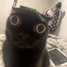 Salem