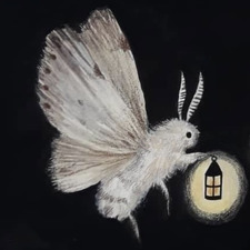 Brandy Bee