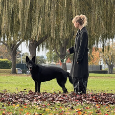Lee Kedem