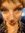 Tay Tay (taylor´s version) | 3 comments