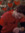 Leslie Miller | 33 comments