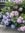 member photo member photo