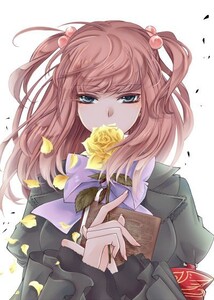 FaLeRi
