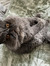 Tyler