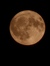 B.B