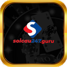 Soicau247 Guru