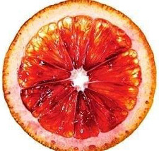 Sandrine Bourget-Lapointe