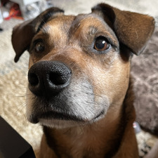 Lena