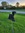Kels