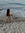 nathalie | 14 comments