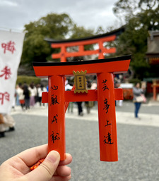 Yin Xia