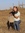 Shelby Welsch