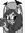 Shan SpookyFox