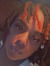 JaMille