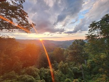 Monica