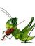 Phineas Cricket