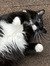 Lucy!