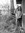 Kassie Greene