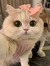 Blythe ...