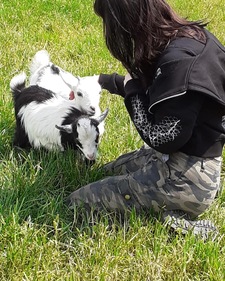 cat⋆˙⟡₊ ⊹˚ 