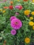 Joy Ruetz