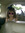 Ryleigh