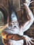 maddy Top Dawg Wizard