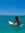 Malaina | 63 comments
