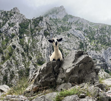 Sara Delgado García