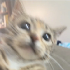 Emily