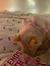 Anouk