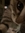 Kacper