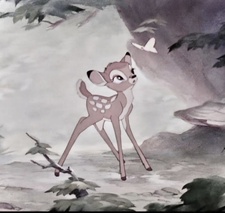 •°♡ Dina •°♡