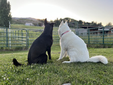 Inlé, Hazel, & I