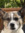 Bree | 1 comments