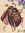 bettle | 6 comments