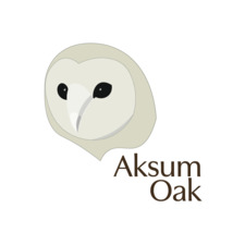 Aksum Oak
