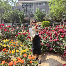 Zihan