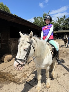 Lottie