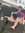 Emily (emily72) | 1 comments