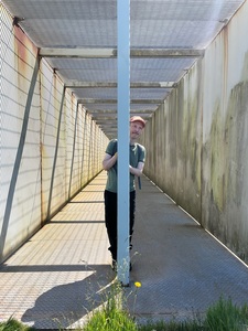 Mike McCabe