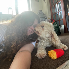 ˖⁺‧₊˚lou˚₊‧⁺˖