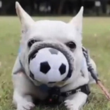 Caden Thomas McQueen