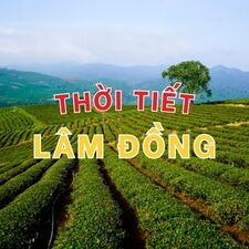 Thời Tiết Lâm Đồng
